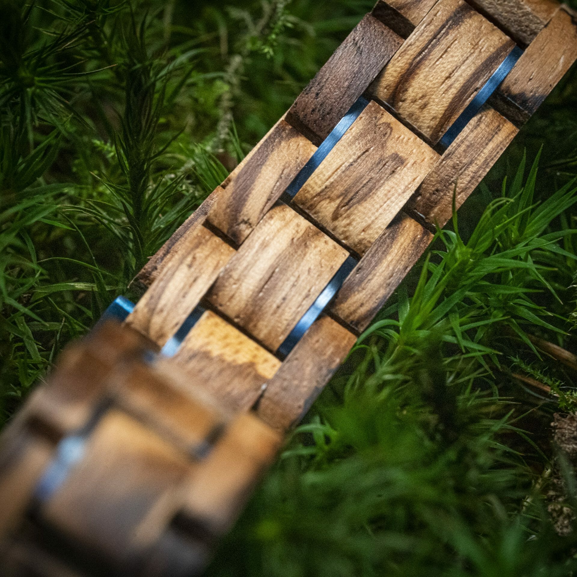 Tribe (Zebrano / Blauw) – Houten Armband