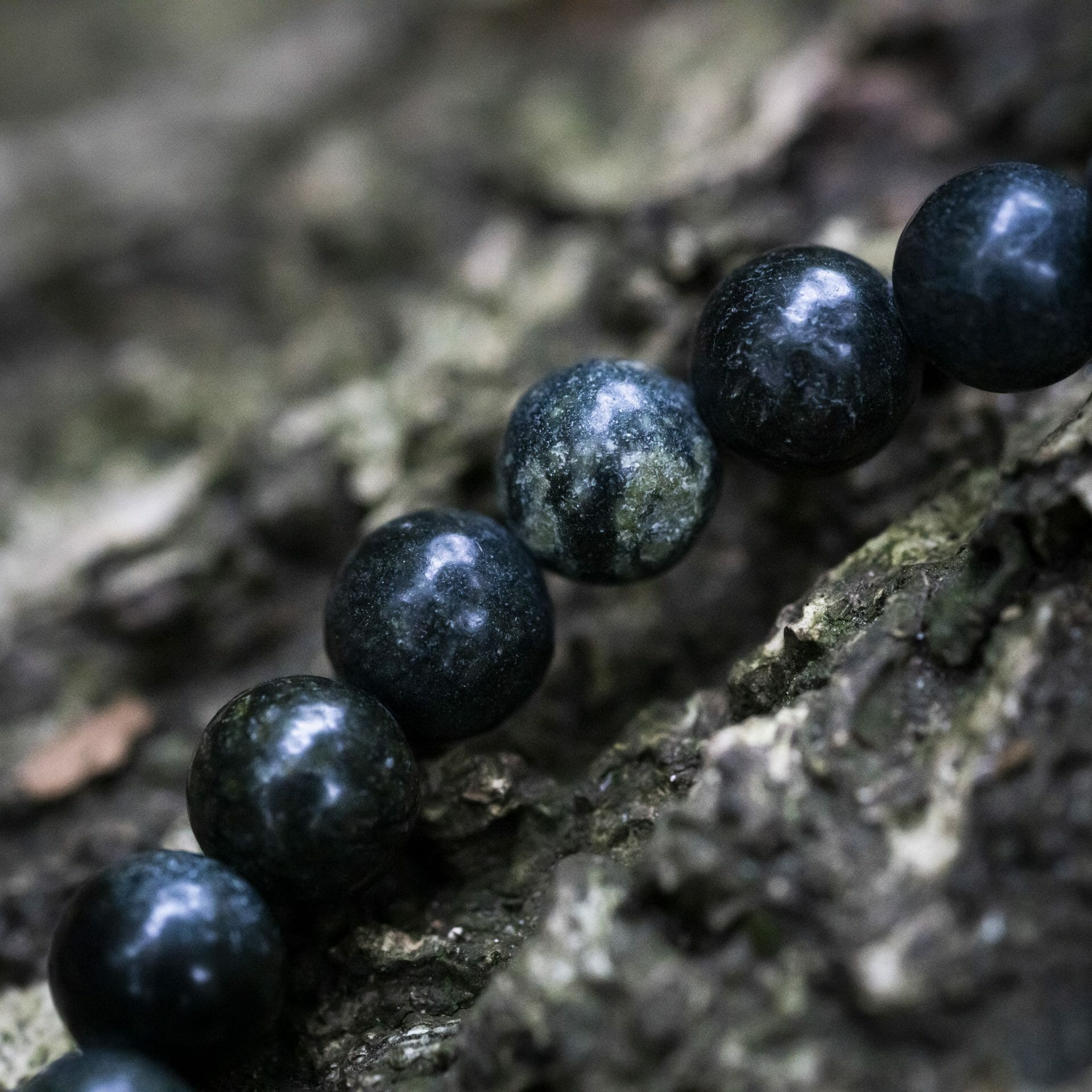 Groene Mussen Agaat – Kralen Armband