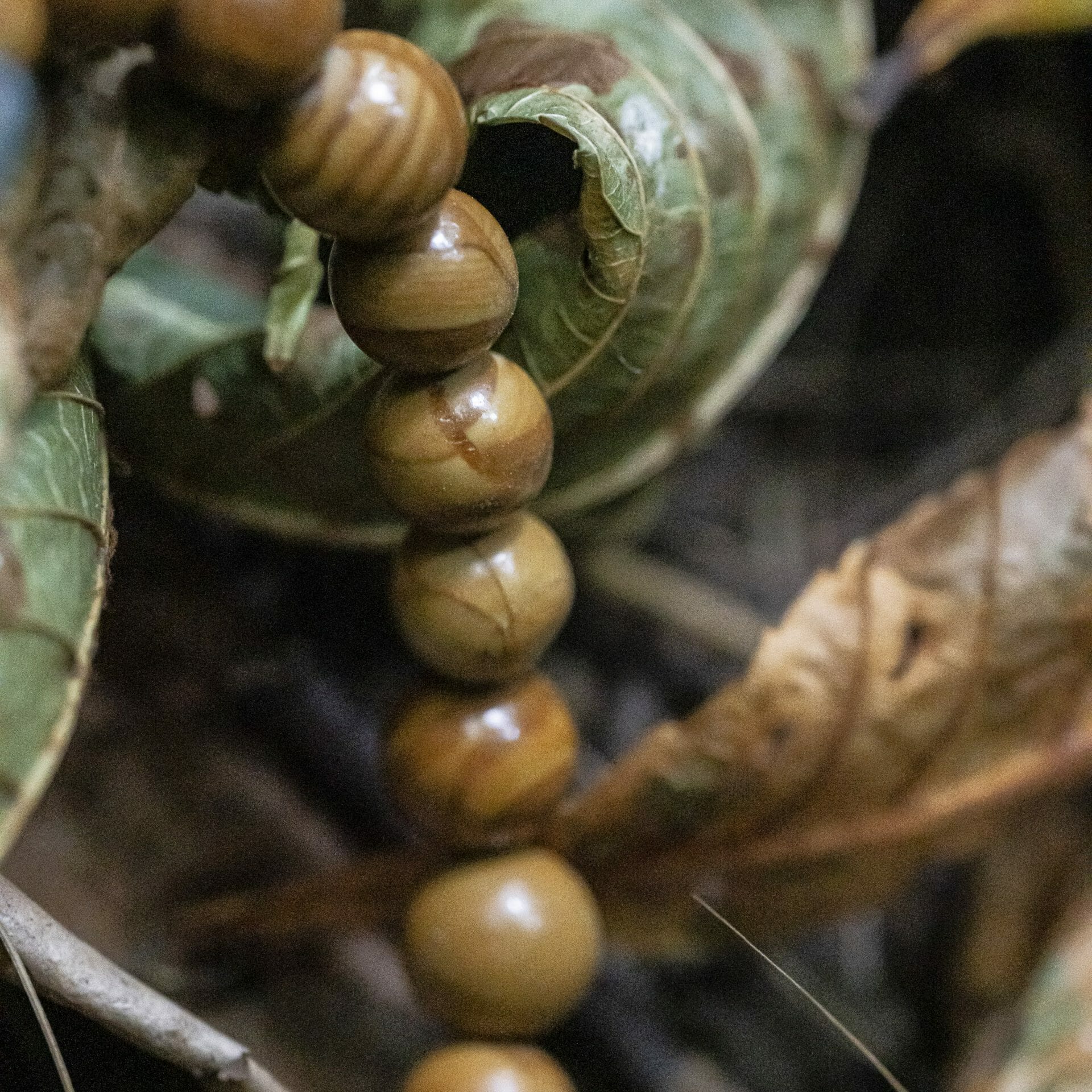 Marmeren Luxe Serpeggiante Kralen Armband