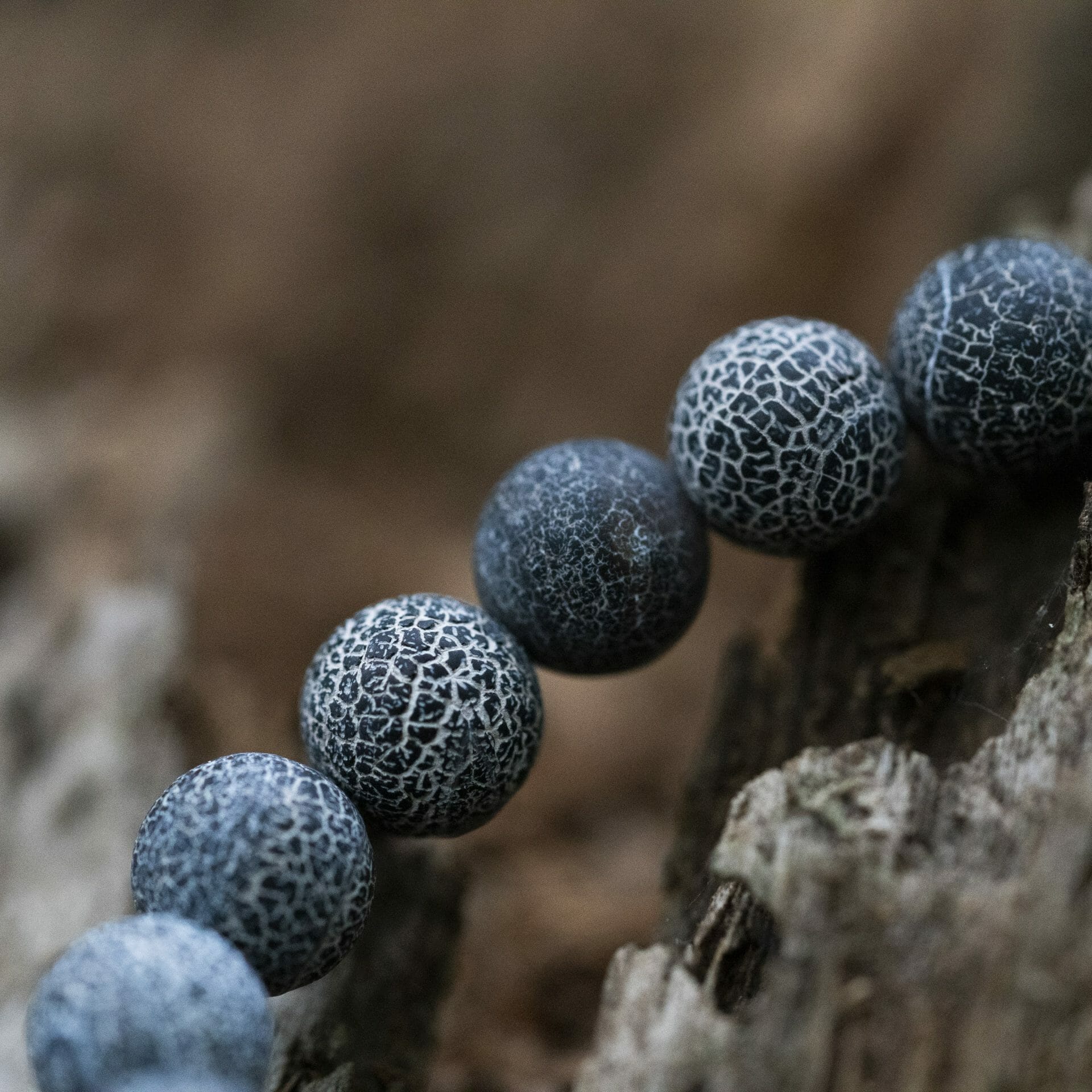 Gebarsten blauwe Agaat - Kralen Armband