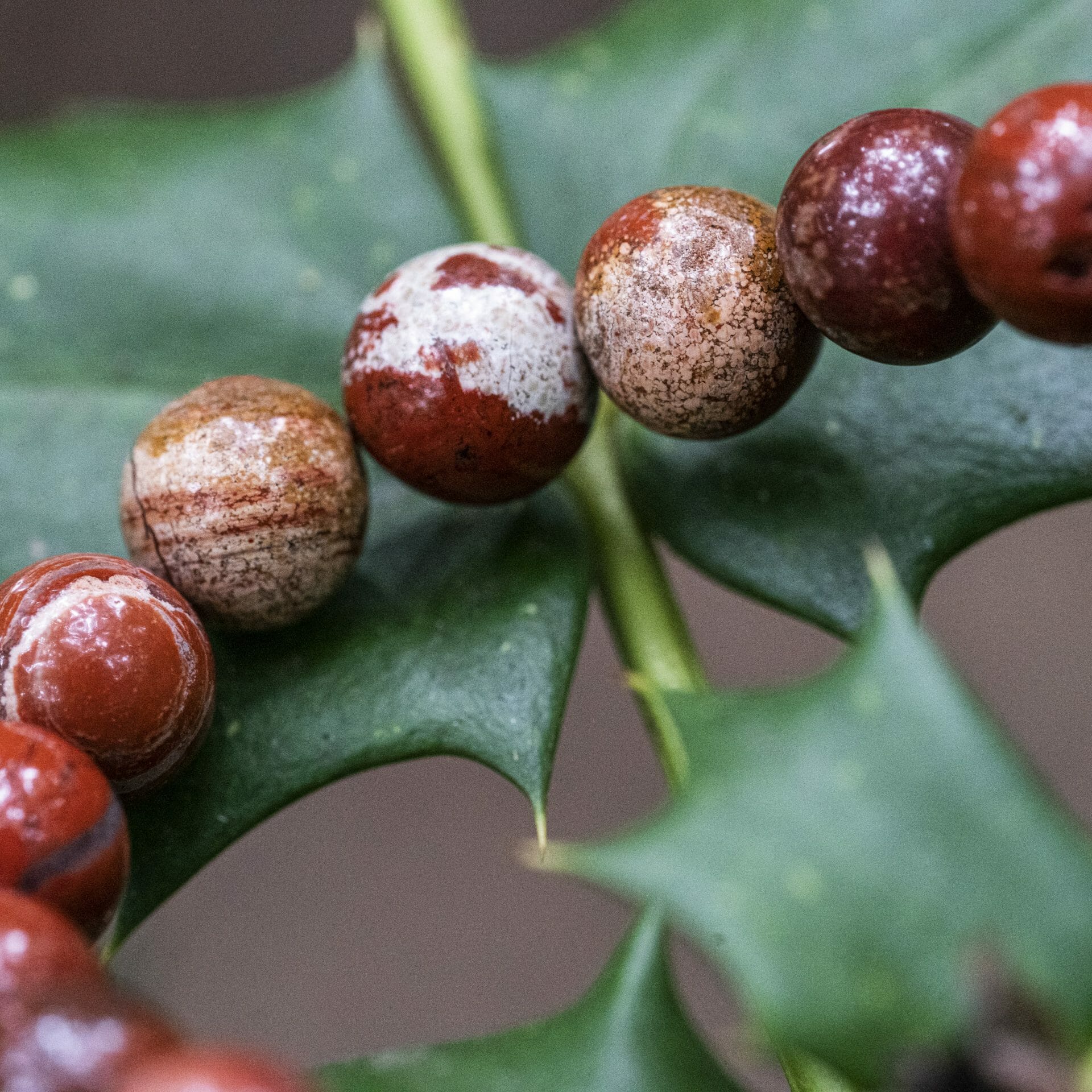 Diep Rode Jasper Kralen Armband (Liefdes armband met Namen)
