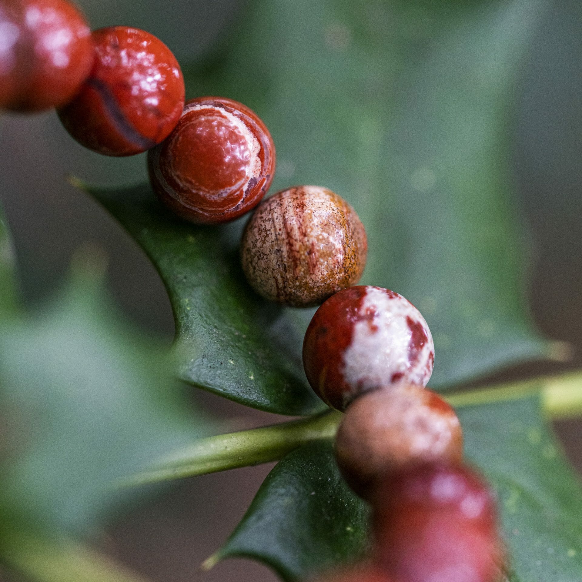Diep Rode Jasper Kralen Armband (Liefdes armband met Namen)