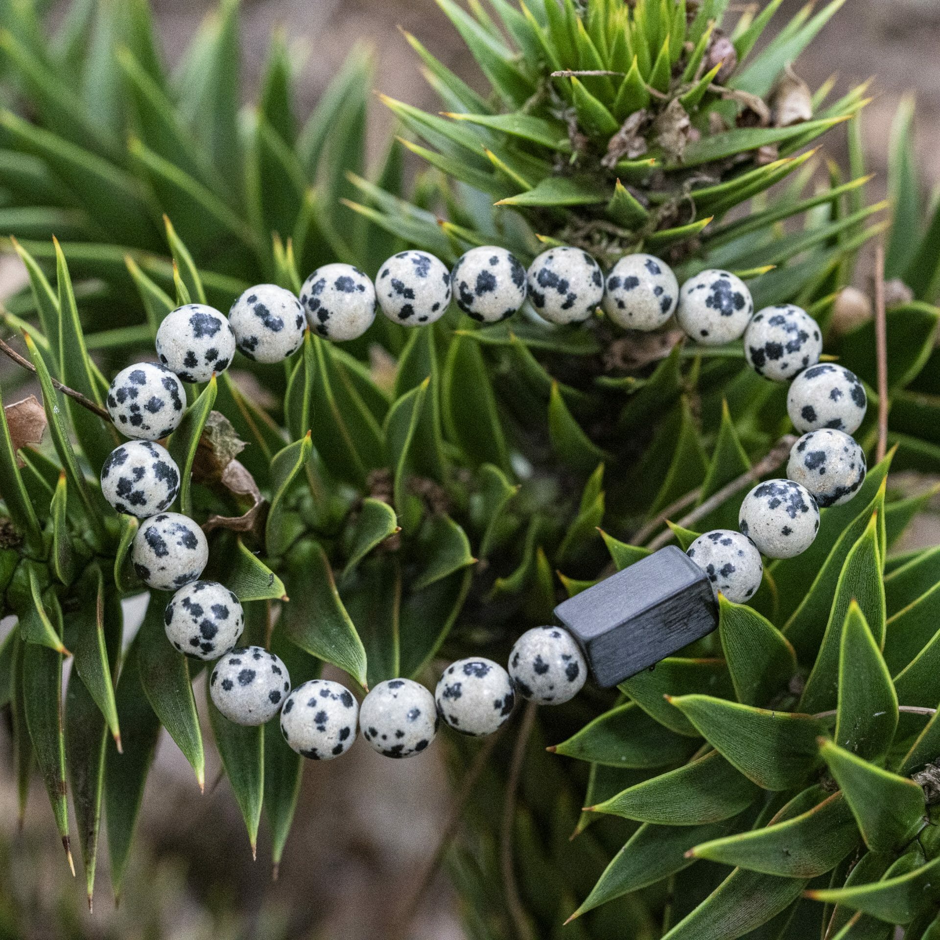 Boeren Armband 🐄 Koeienvlekken + Naam gegraveerd