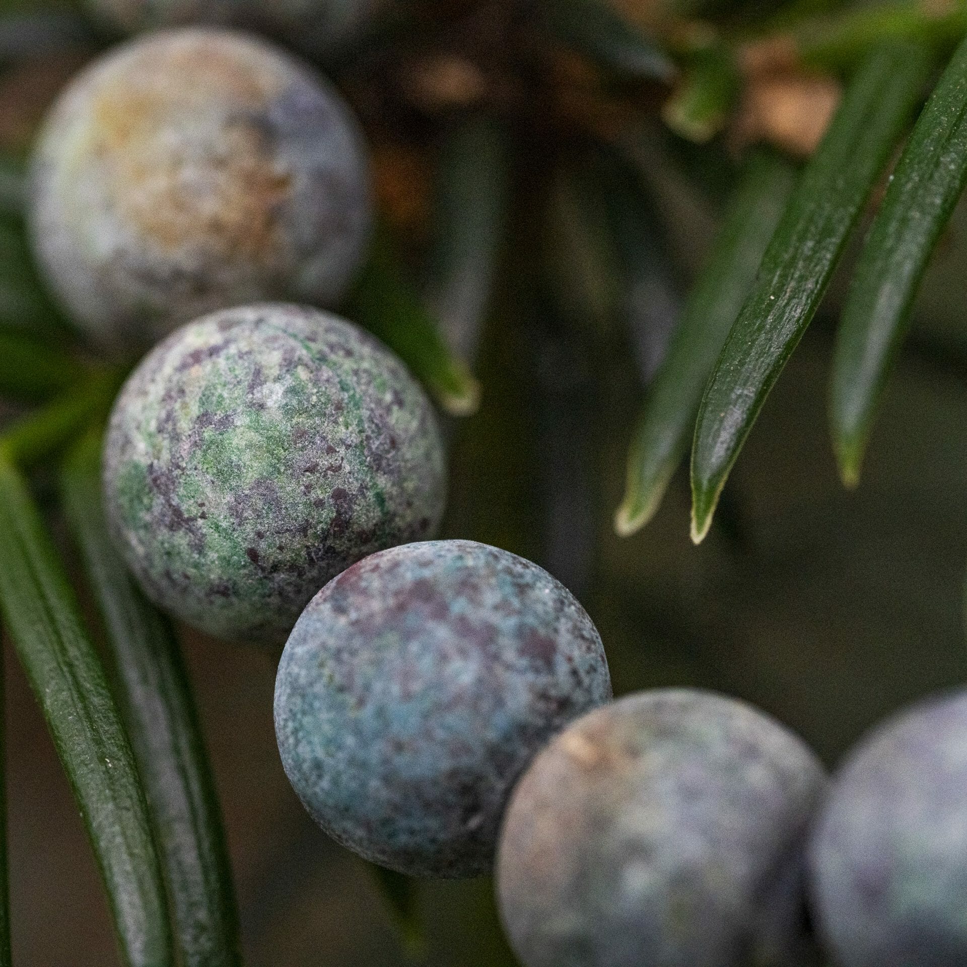 Matte Turquoise Armband met Naamgravure – 8mm Kralen