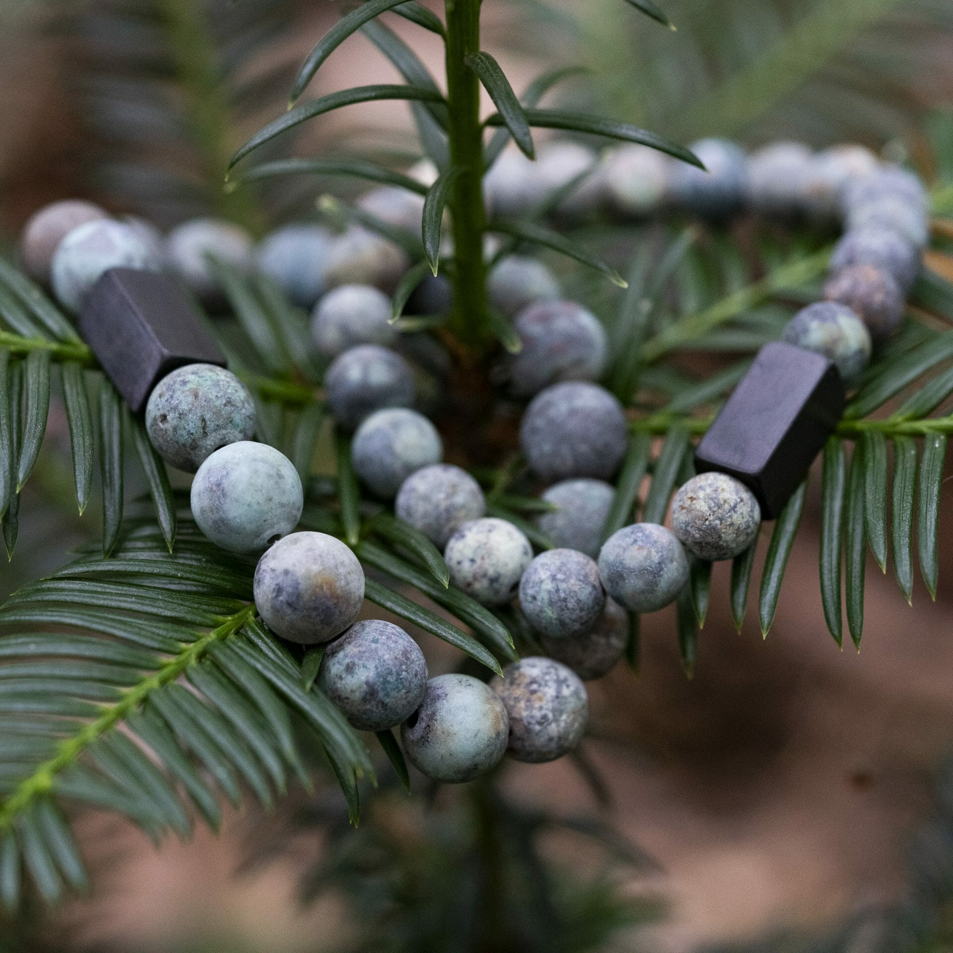 Afrikaanse Matte Turquoise Kralen Armband – 10mm Stenen