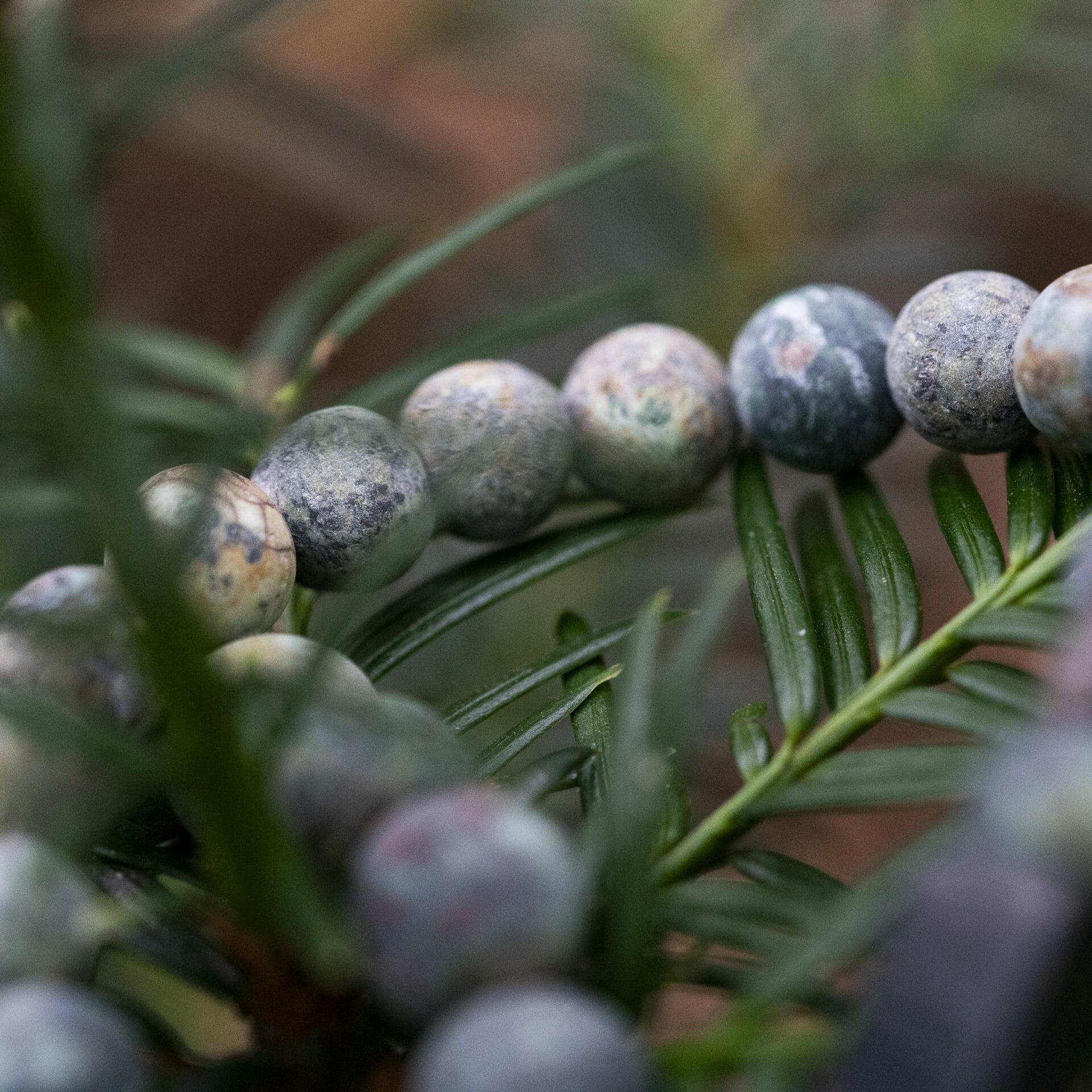 Matte Turquoise Armband met Naamgravure – 8mm Kralen