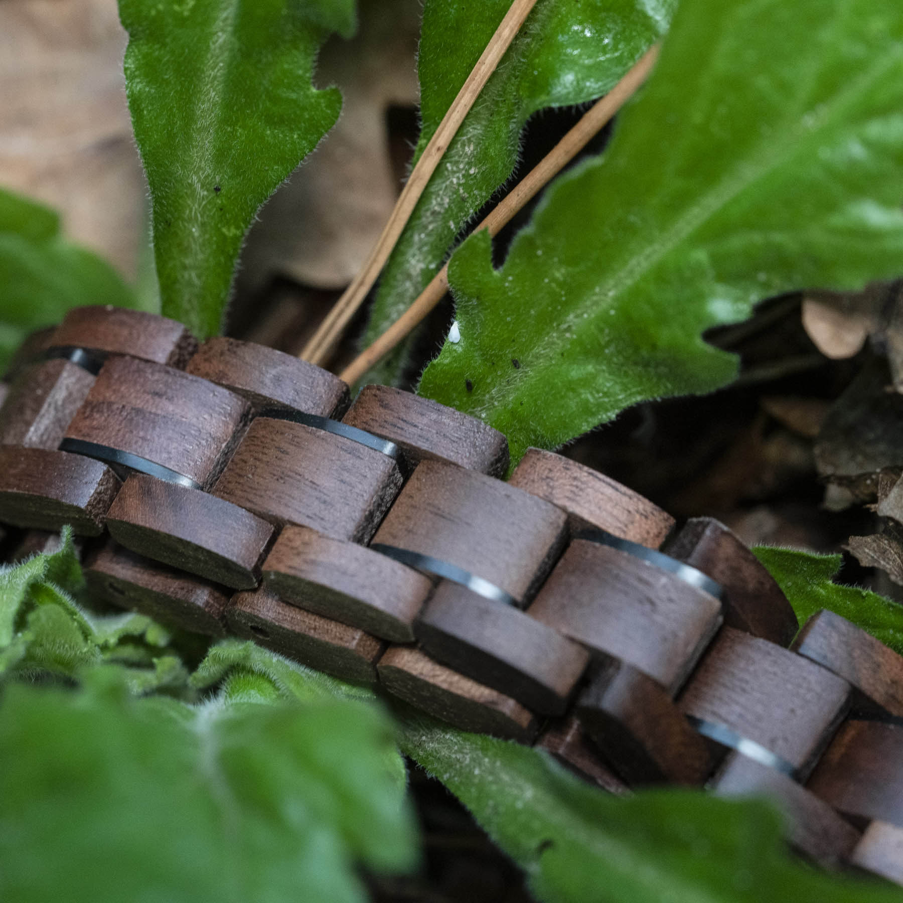 The Dad – TimberWood Houten Armband
