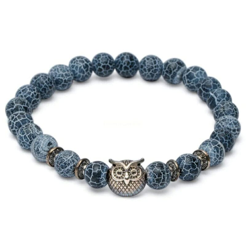 Armband Uil Frosted Agaat-Wijsheid-blauwe armband